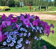 You're also welcome to book a campsite at the Breton RV Park, right next door to the golf course.