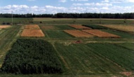 The Breton Plots are known worldwide in the Soil Science community and recognized as one of only a few long-term soil study projects in the world.